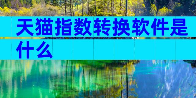 天猫指数转换软件是什么