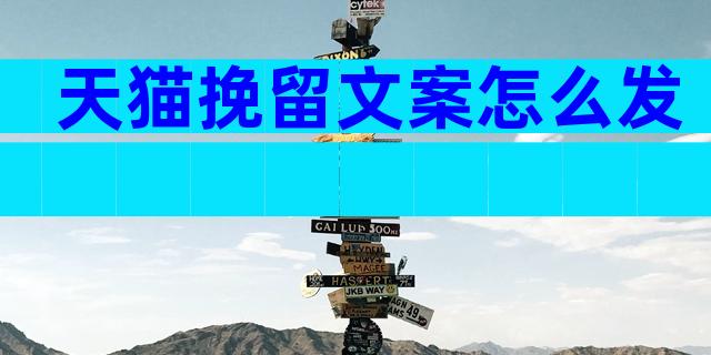 天猫挽留文案怎么发