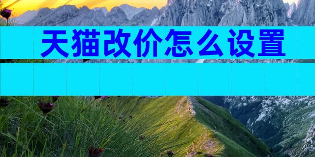 天猫改价怎么设置