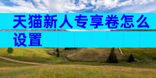 天猫新人专享卷怎么设置