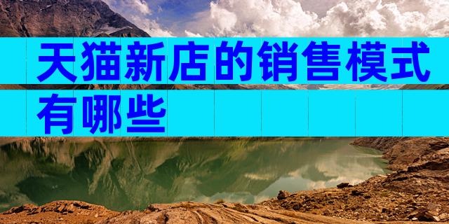 天猫新店的销售模式有哪些
