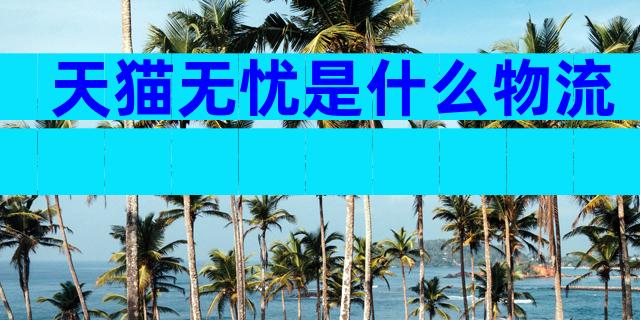 天猫无忧是什么物流
