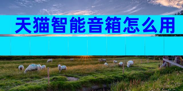 天猫智能音箱怎么用