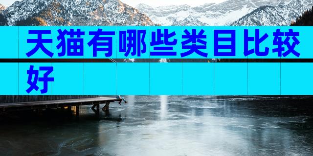天猫有哪些类目比较好