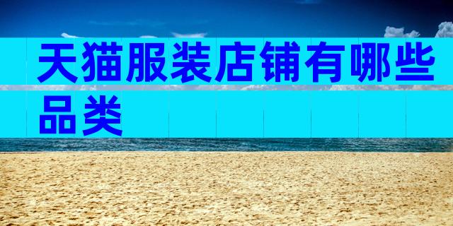 天猫服装店铺有哪些品类