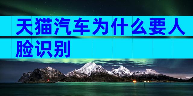 天猫汽车为什么要人脸识别