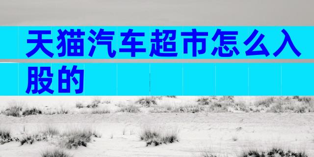 天猫汽车超市怎么入股的