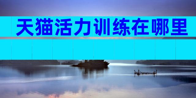 天猫活力训练在哪里
