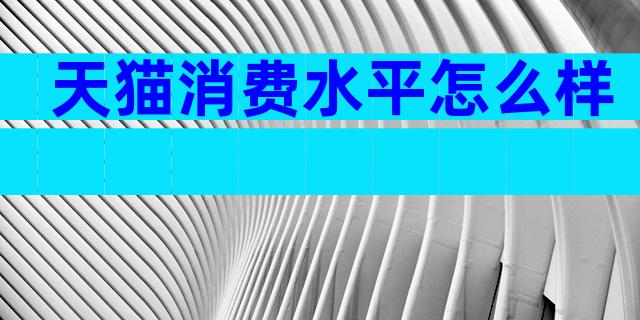 天猫消费水平怎么样