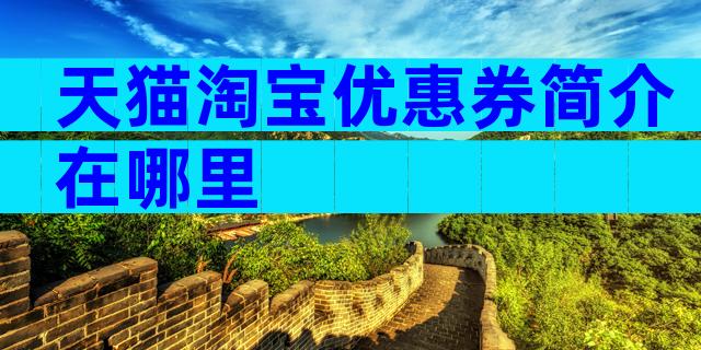天猫淘宝优惠券简介在哪里