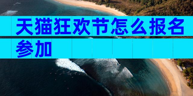 天猫狂欢节怎么报名参加