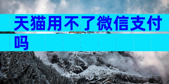 天猫用不了微信支付吗