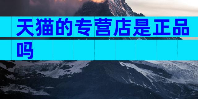 天猫的专营店是正品吗