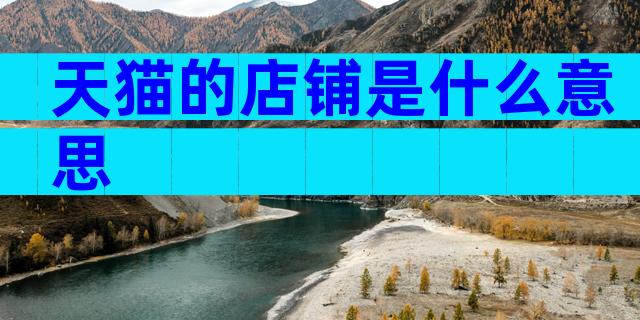 天猫的店铺是什么意思