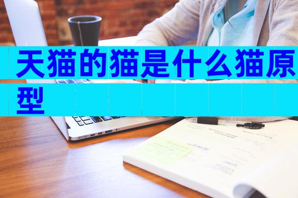 天猫的猫是什么猫原型