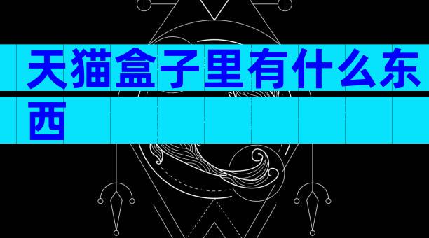 天猫盒子里有什么东西