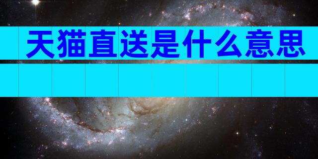 天猫直送是什么意思