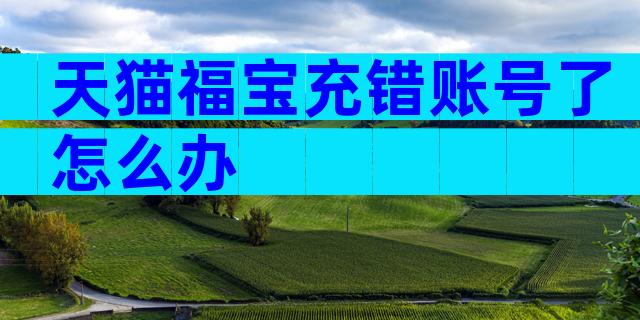 天猫福宝充错账号了怎么办