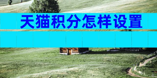 天猫积分怎样设置