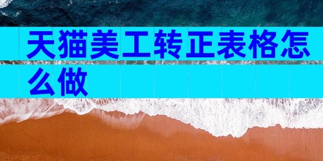 天猫美工转正表格怎么做