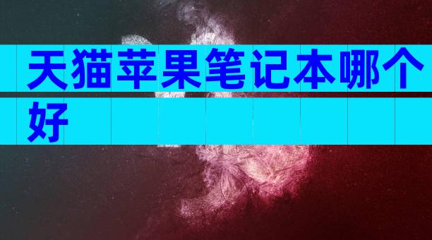 天猫苹果笔记本哪个好