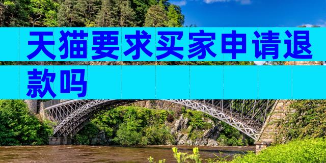 天猫要求买家申请退款吗