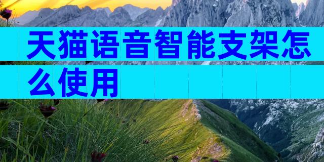 天猫语音智能支架怎么使用