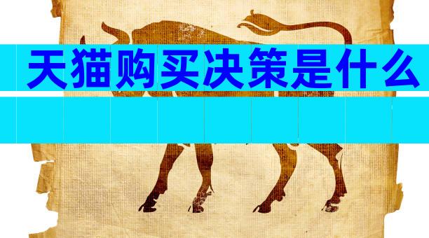 天猫购买决策是什么