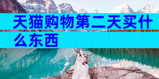 天猫购物第二天买什么东西