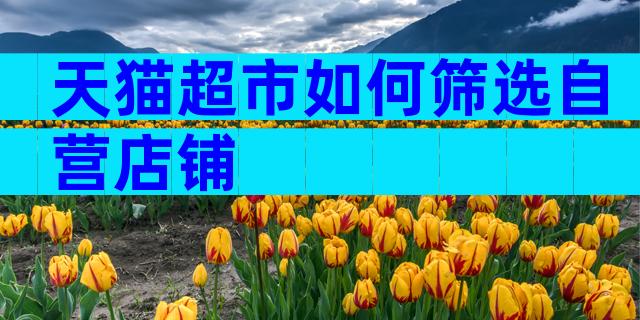 天猫超市如何筛选自营店铺