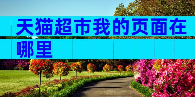 天猫超市我的页面在哪里