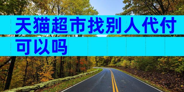 天猫超市找别人代付可以吗