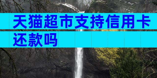 天猫超市支持信用卡还款吗