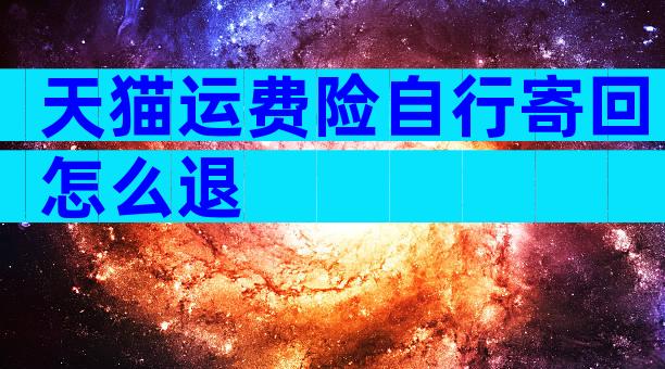天猫运费险自行寄回怎么退