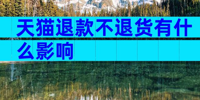 天猫退款不退货有什么影响
