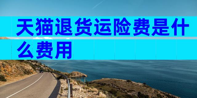 天猫退货运险费是什么费用