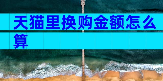 天猫里换购金额怎么算