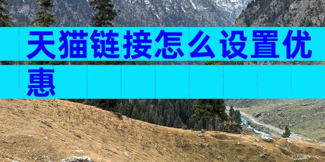 天猫链接怎么设置优惠