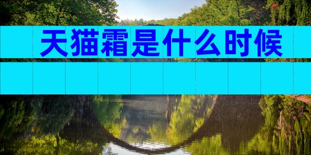 天猫霜是什么时候
