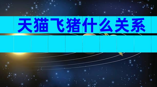 天猫飞猪什么关系