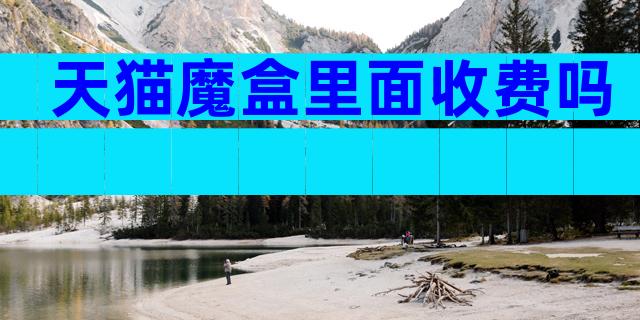 天猫魔盒里面收费吗