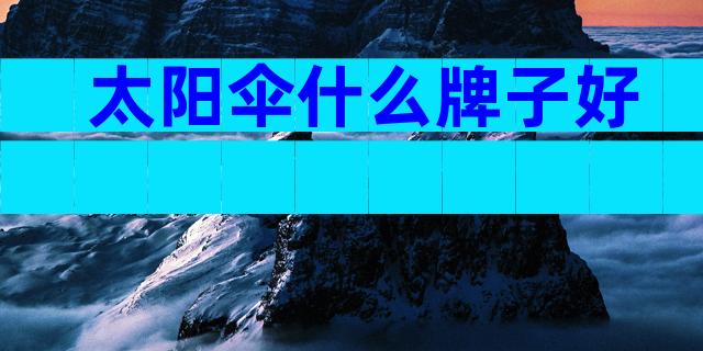 太阳伞什么牌子好