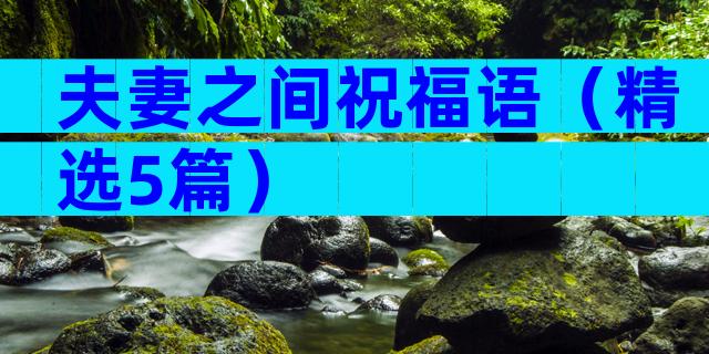 夫妻之间祝福语（精选5篇）