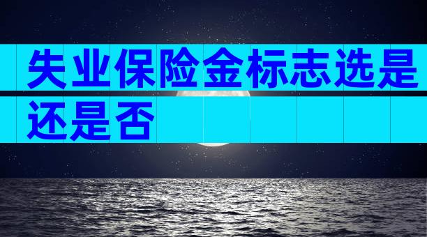 失业保险金标志选是还是否