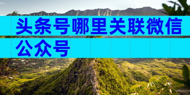 头条号哪里关联微信公众号