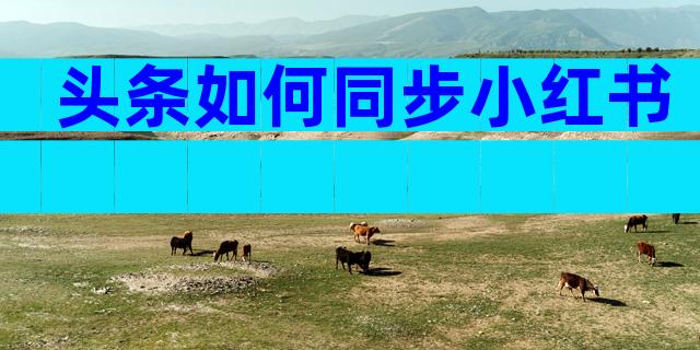 头条如何同步小红书