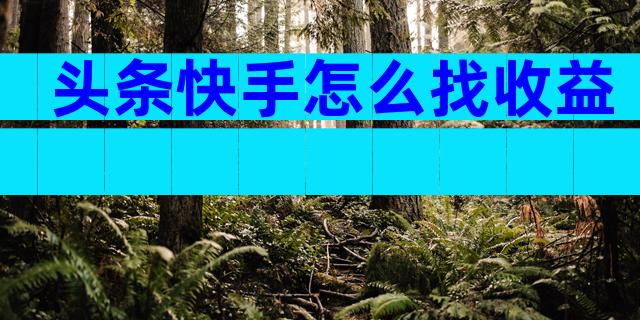 头条快手怎么找收益