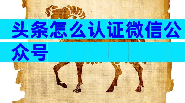 头条怎么认证微信公众号