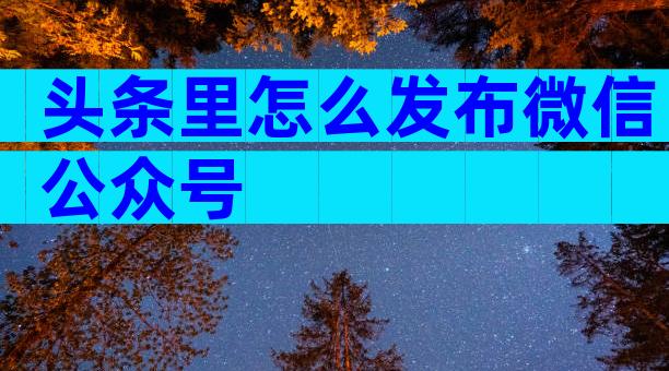 头条里怎么发布微信公众号