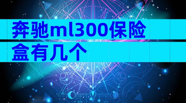 奔驰ml300保险盒有几个